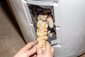 sediment buildup (in a water heater)